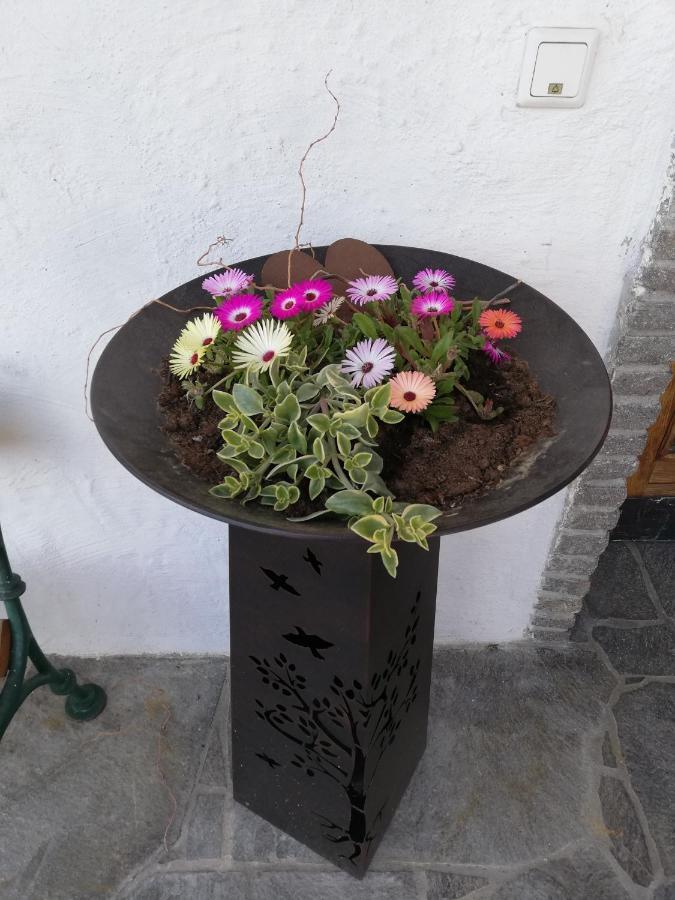 Fruehstueckspension Alpenrose Bed & Breakfast Iselsberg Exteriör bild